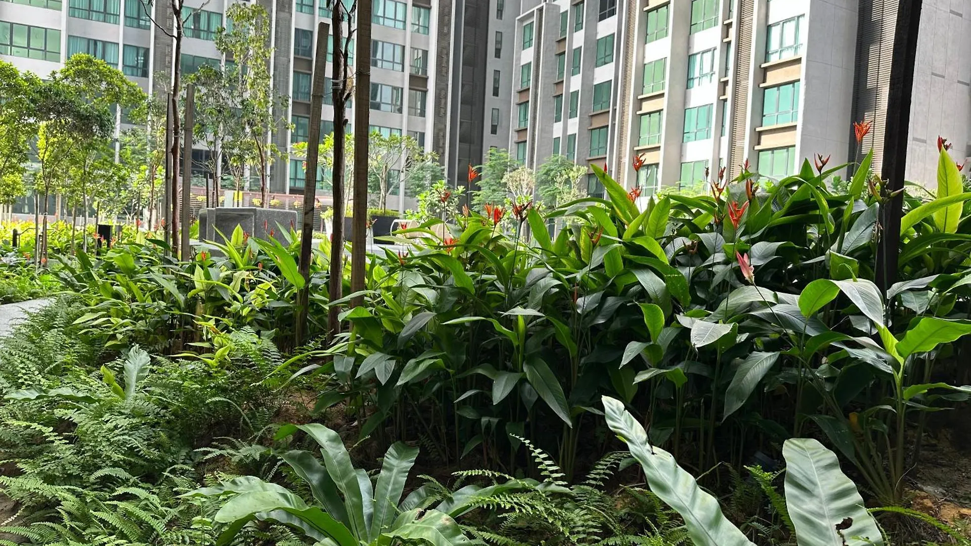 Kl Pantai Bangsar South 3Br 6-11 Pax Next To Npe Apartment Kuala Lumpur